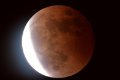 Mondfinsternis7 3.03.07 1Uhr11 